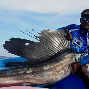 Fish Tobago Buccoo